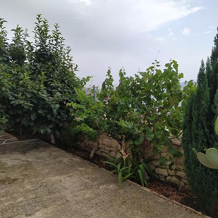 Villa Alimema Sarandë 외부 사진