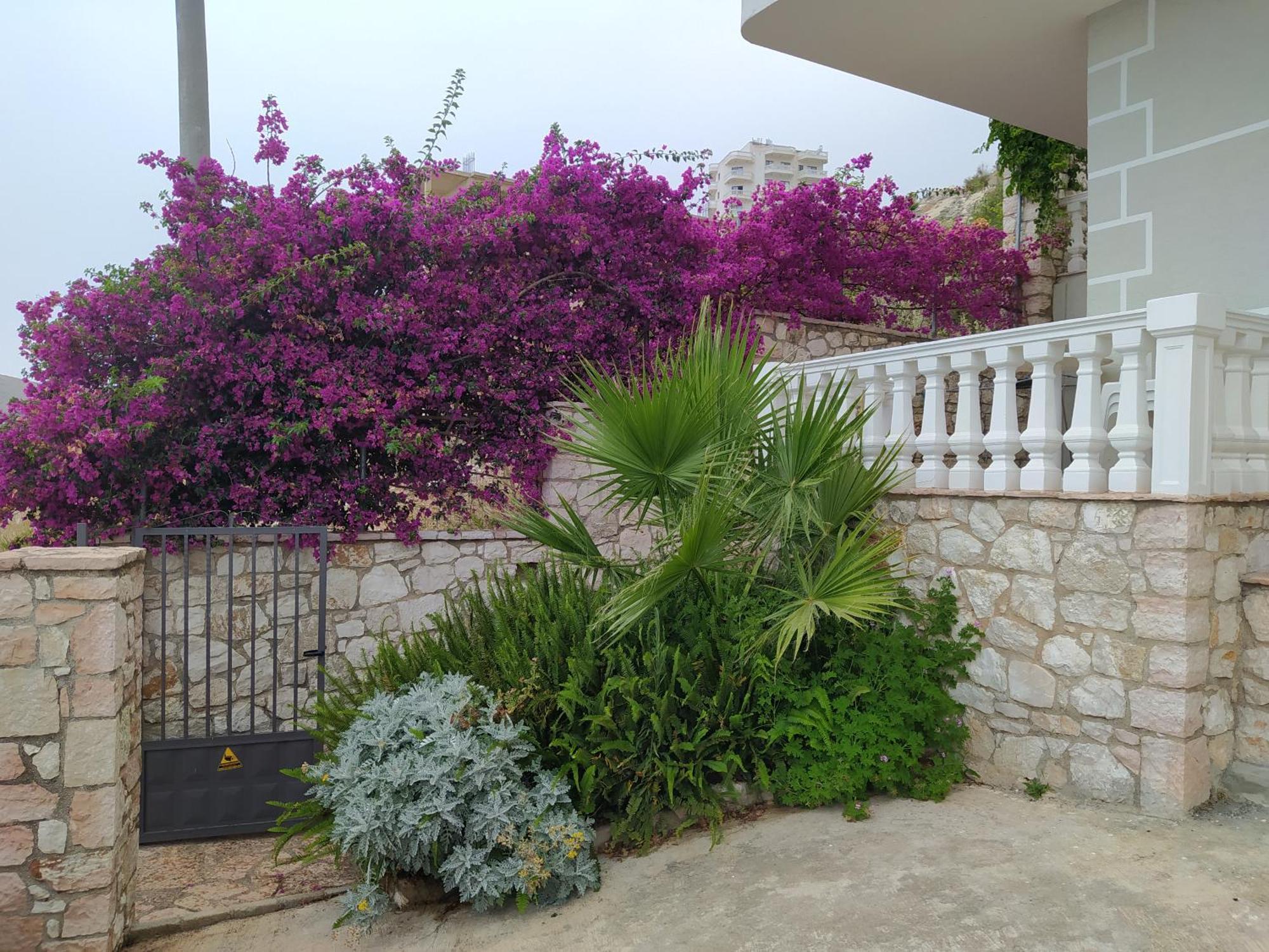Villa Alimema Sarandë 외부 사진