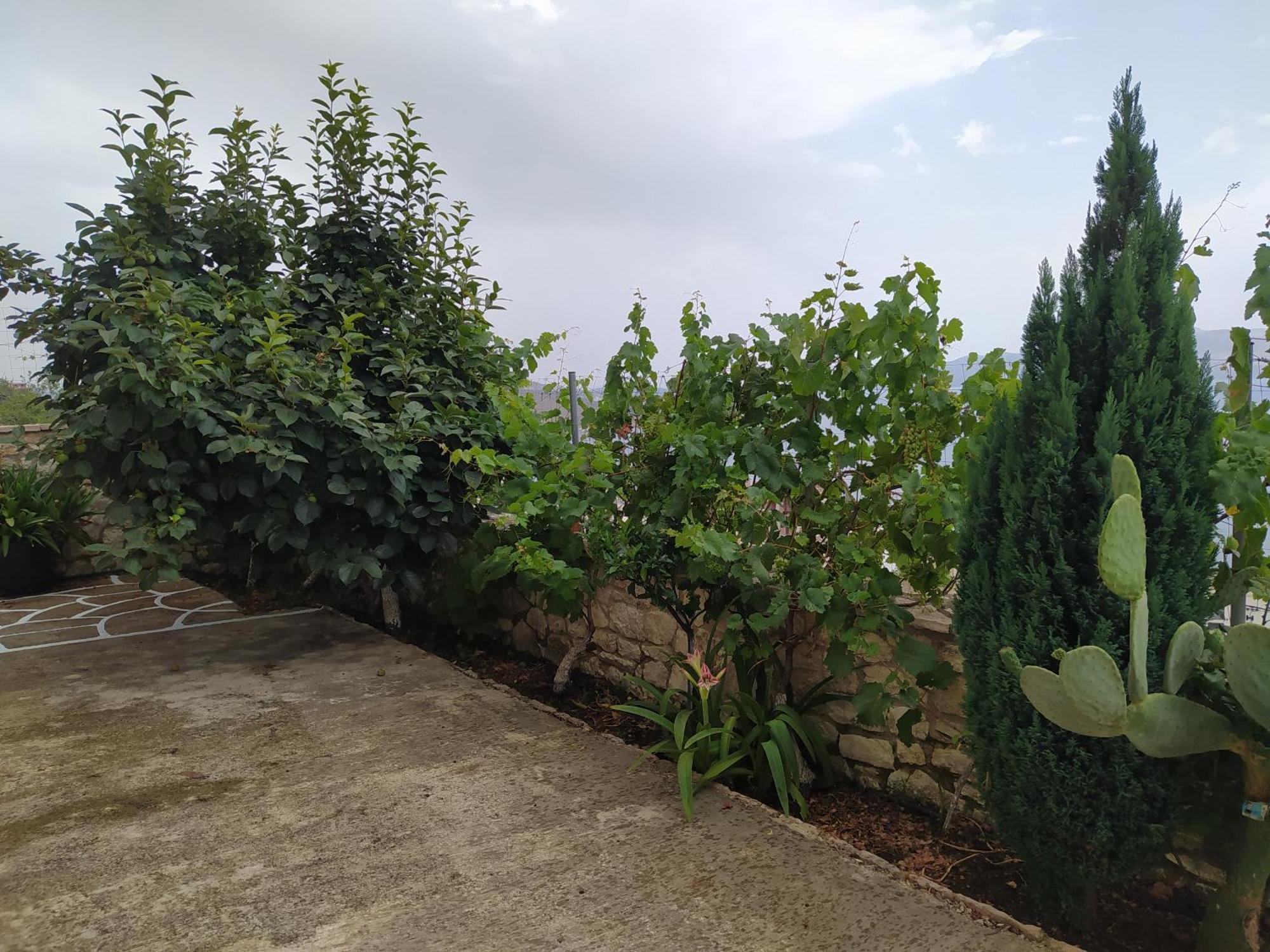 Villa Alimema Sarandë 외부 사진
